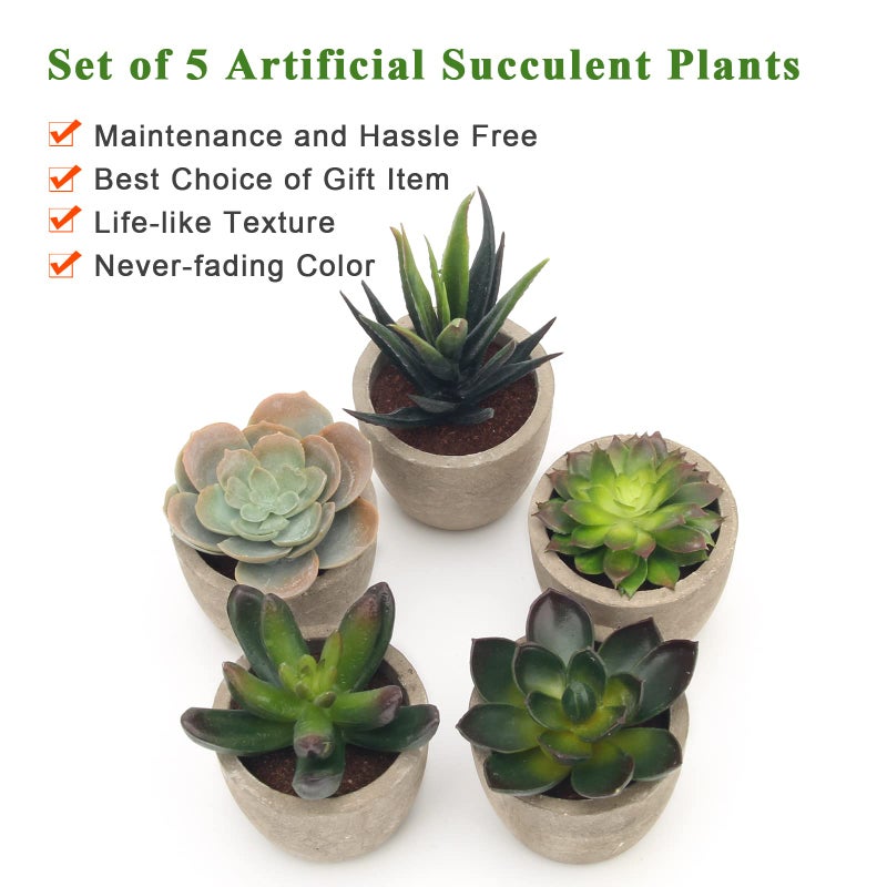 Coitak Artificial Succulent Plants Potted, Assorted Decorative Faux Succulent Potted Fake Cactus Cacti Plants with Pots, Set of 5 - Image 4